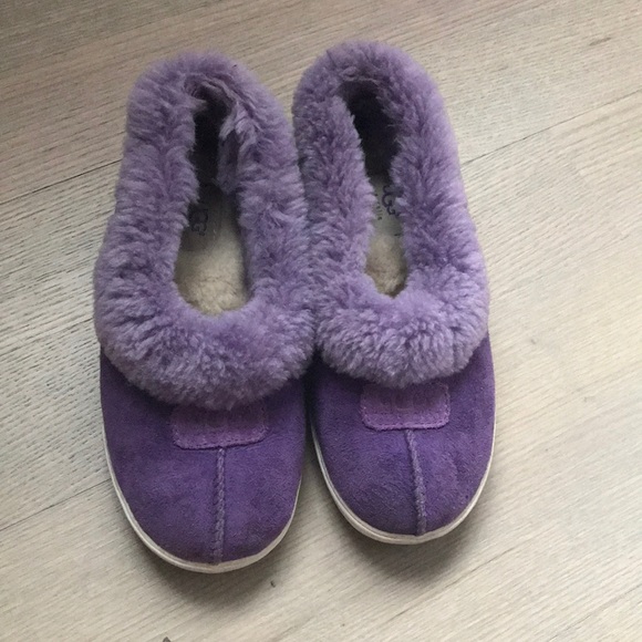 purple uggs slippers